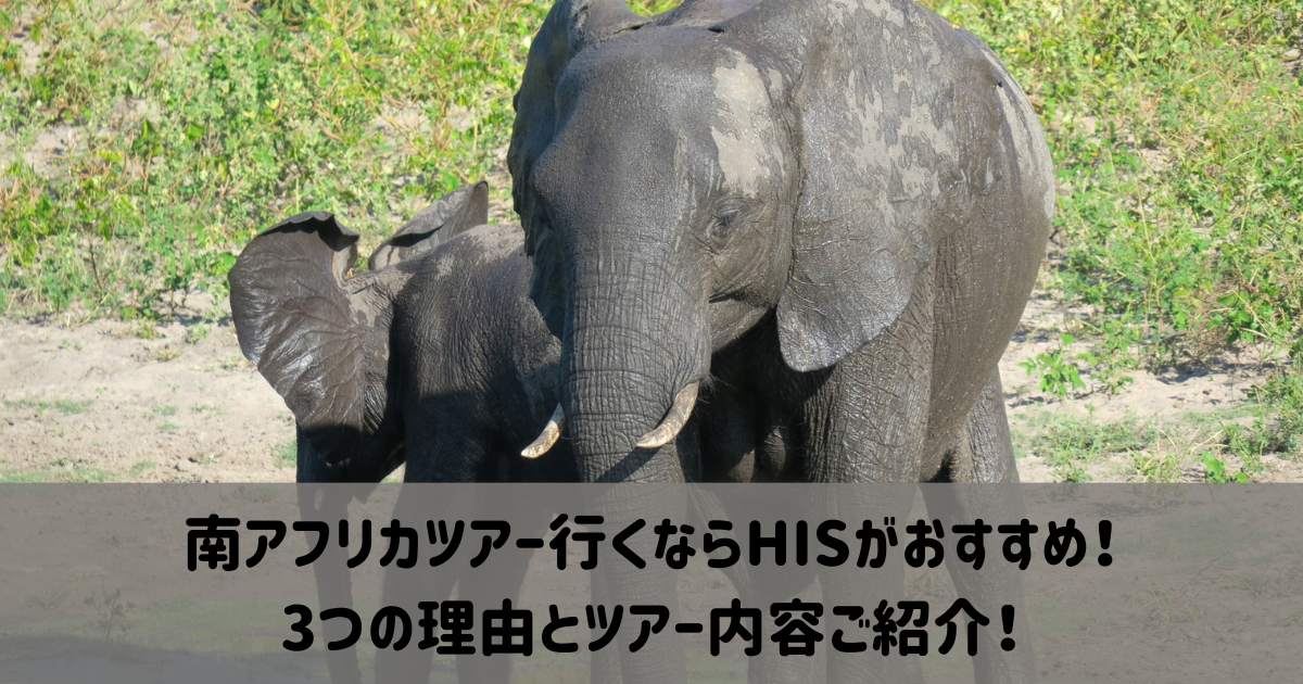 HIS　南アフリカ　ツアー